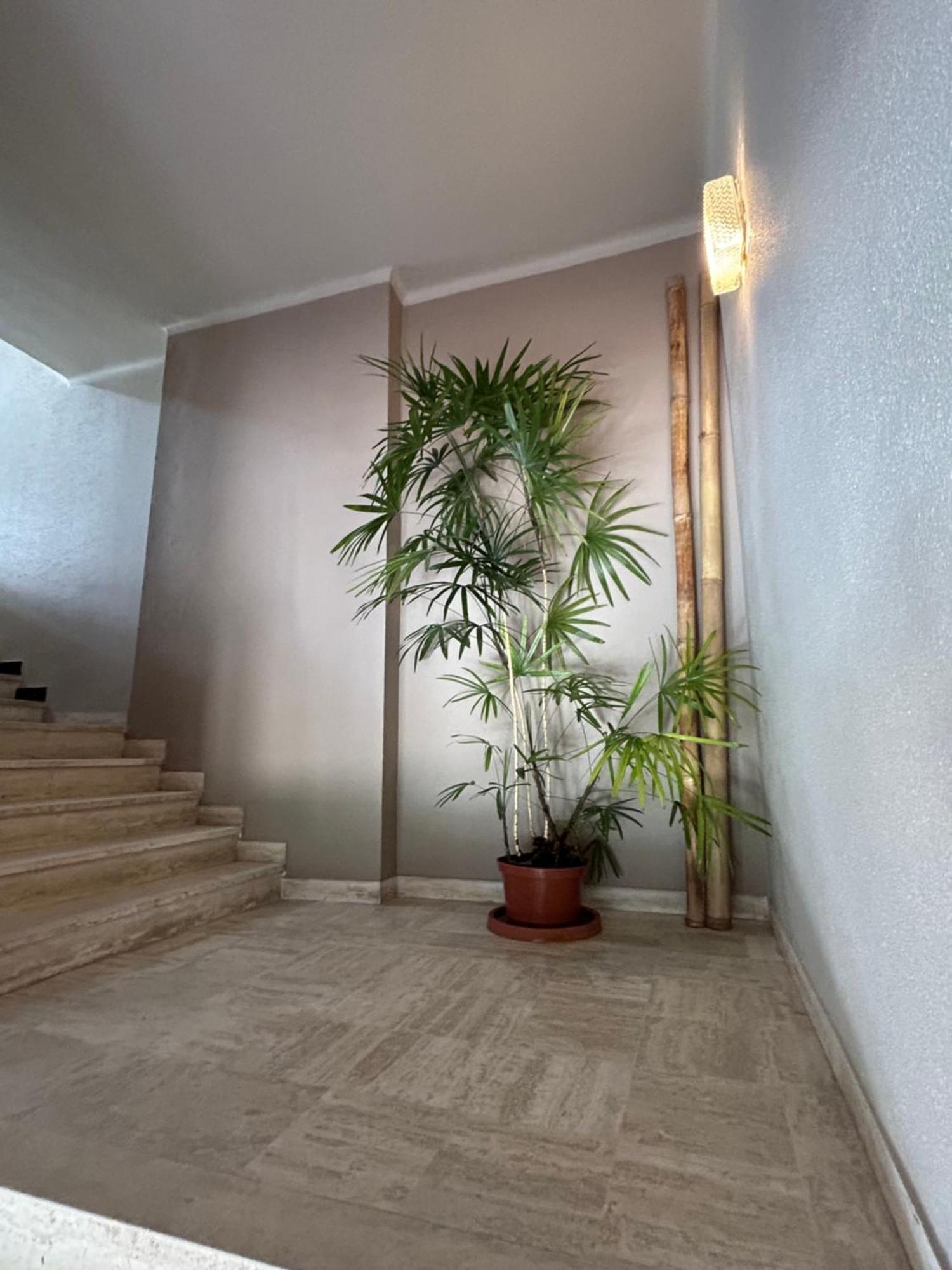 Apartment Premium Sea Front Le Lavandou